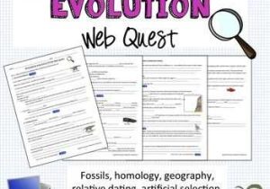 Evolution Vocabulary Worksheet with Evidence for Evolution Webquest