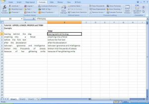 Excel Profit and Loss Worksheet Download Also Excel Tips Tutorial How to Use Trim Upper Lower and Prope