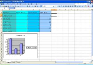 Excel Worksheet Templates with Eda Boruk Excel