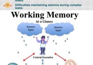 Executive Functioning Worksheets with 436 Best Executive Functioning Images On Pinterest