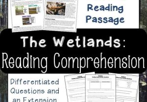 Exploring Biomes Worksheet Answers and Wetlands Swamps and Marshes Reading Prehension and