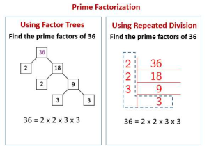 Factoring Difference Of Squares Worksheet Answer Key Also Prime Factorization Using Repeated Division solutions Examples