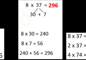 Factoring Distributive Property Worksheet Answers together with Primary Maths
