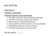 Factors Worksheet Pdf and Renal Physiology Laboratory Exercise Kaap Ppt Video Online D