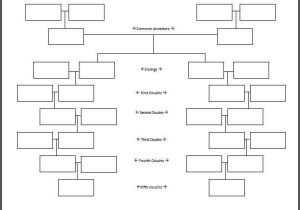 Family Tree Worksheet and 121 Best Family Tree Chart Images On Pinterest