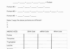 Fannie Mae Homestyle Renovation Maximum Mortgage Worksheet or Good Worksheet Dna Rna and Protein Synthesis Answer Key Quizlet