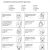 Feelings and Emotions Worksheets Printable and 904 Best Feelings and social Skills Images On Pinterest