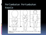 Fetal Development Worksheet and Fetal Phase Embryolgy Ii Ppt