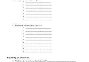 Fetal Pig Dissection Pre Lab Worksheet Answers Also Starfish Dissection Guide Mr E Science