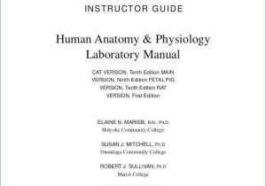 Fetal Pig Dissection Pre Lab Worksheet Answers as Well as Nett Human Anatomy and Physiology Lab Manual Answers Bilder