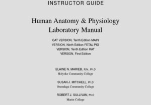 Fetal Pig Dissection Pre Lab Worksheet Answers together with Nett Human Anatomy and Physiology Lab Manual Answers Bilder