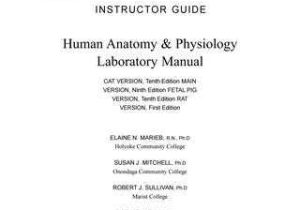 Fetal Pig Dissection Pre Lab Worksheet together with Human Anatomy and Physiology Lab Manual Fetal Pig Version 10th