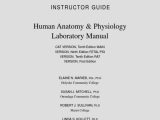 Fetal Pig Dissection Pre Lab Worksheet together with Nett Human Anatomy and Physiology Lab Manual Answers Bilder
