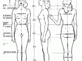 Figure Drawing Proportions Worksheet and Ideal Female Proportion