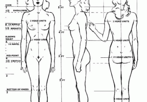 Figure Drawing Proportions Worksheet and Ideal Female Proportion