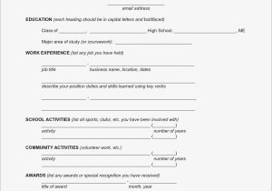 Fill In the Blank Resume Worksheet Also Fill In Resume Template Samples