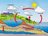 Fill In the Blank Water Cycle Diagram Worksheet Also A Lot Of Diagrams Explaining the Water Cycle Make It Look so