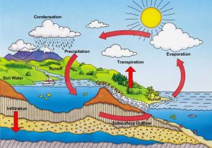 Fill In the Blank Water Cycle Diagram Worksheet Also A Lot Of Diagrams Explaining the Water Cycle Make It Look so