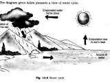Fill In the Blank Water Cycle Diagram Worksheet with Ncert solutions for Class 6th Science Chapter 14 Water