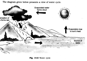 Fill In the Blank Water Cycle Diagram Worksheet with Ncert solutions for Class 6th Science Chapter 14 Water