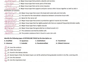 Fill In the Unit Circle Worksheet or Erfreut Anatomy and Physiology Chapter 10 Blood Worksheet Answers
