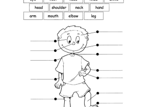 First Grade Esl Worksheets Also Name Parts Of the Body First Grade Yahoo Image Search Results