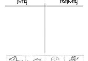 First Grade Science Worksheets Along with 79 Best Living and Non Living Things Images On Pinterest