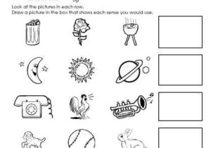 First Grade Science Worksheets and Senses Worksheet Worksheets for All