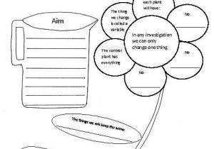 First Grade Science Worksheets or Science Second Grade Worksheets Worksheets for All
