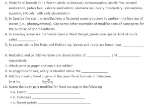 Flower Anatomy Worksheet Key Along with Important Biology Questions Class 11 Chapter 5 Morphology Of