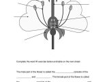 Flower Anatomy Worksheet Key Along with Name Structure Of A Flower Label the Diagram Below Plete the W