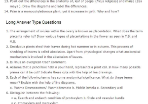 Flower Anatomy Worksheet Key with Important Questions for Class 11 Biology Chapter 6 Anatomy Of