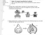 Flower Anatomy Worksheet Key with Worksheet A Ual Reproduction
