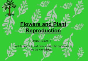 Flower Structure and Reproduction Worksheet Answers and Flowers and Plant Reproduction Line Lesson 1 Watch This First and