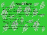 Flower Structure and Reproduction Worksheet Answers as Well as Flowers and Plant Reproduction Line Lesson 1 Watch This First and