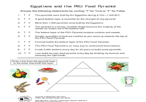 Food Chain Worksheet Answers Also Free Worksheets Library Download and Print Worksheets Free O