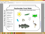 Food Chain Worksheet Answers with Food Chains and Webs De Posers too