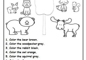 Food Chains and Food Webs Skills Worksheet Answers and 20 Best Animals Images On Pinterest