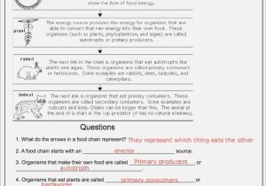 Food Chains and Food Webs Skills Worksheet Answers as Well as Food Chain Worksheet Answers – Webmart