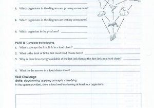 Food Chains and Webs Worksheet or Food Inc Worksheet with Answers New Worksheet Food Chain and Food