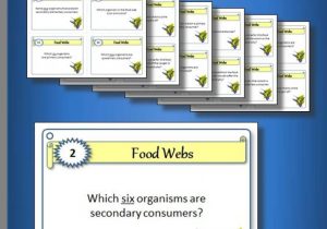 Food Chains and Webs Worksheet or Food Web Worksheet Grade 4 Inspirationa Food Webs Task Cards with