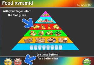 Food Groups Worksheets and App Shopper Food Pyramid H Healthcare and Fitness