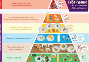 Food Groups Worksheets as Well as Five Food Group Pyramid Xxx Porn Library