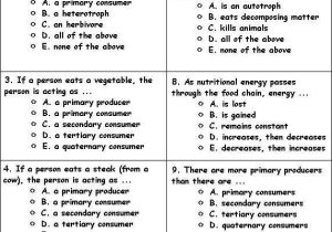 Food Web Practice Worksheet Also Important Consumer Information Math Worksheet Answers Inspirational