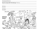 Food Web Worksheet Answer Key Along with 293 Best 4°eso Images On Pinterest