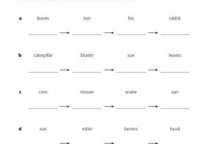 Food Web Worksheet Answer Key Along with A Food Web Worksheet Answers Worksheets for All
