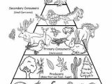 Food Web Worksheet Answer Key with 60 Best Habitats & Food Chains Images On Pinterest
