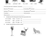 Food Web Worksheet Answers with Food Sustainability Worksheet Refrence Food Web assignment Worksheet