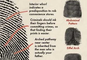 Forensic Science Worksheets as Well as Fingerprints are Unique Science and More Pinterest