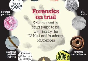 Forensic Science Worksheets together with 11 Best forensics Images On Pinterest